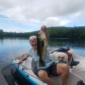 Meet your Posher, Jane